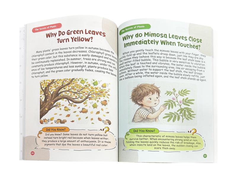 The 100,000 Whys Curiosity Book — Science Answers for Endless Kid Questions